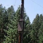 27280017