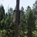 2 on power pole