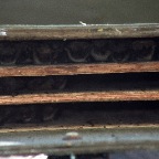 Yuma bats in house