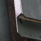 27270016