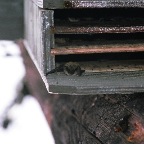 27270013